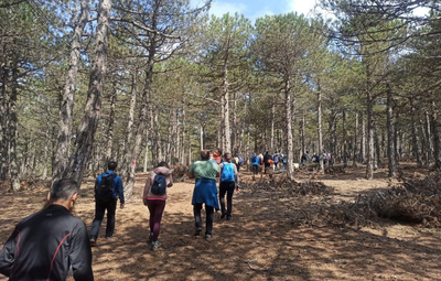 YARIMCA'DA DOĞA YÜRÜYÜŞÜ